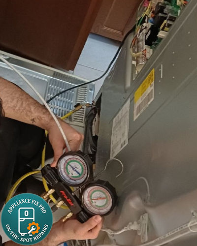 refrigerator fix in richmond hill and toronto